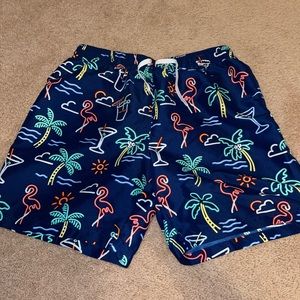 Chubbies bathing suit